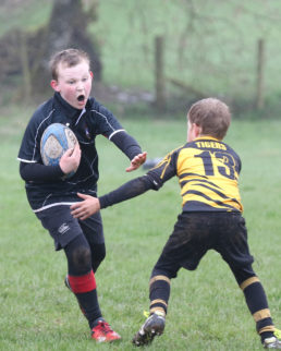 Rugby Stewarrtry rugby festival